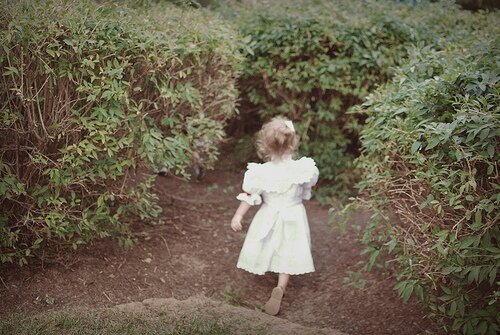 4718939421_8fabba031a